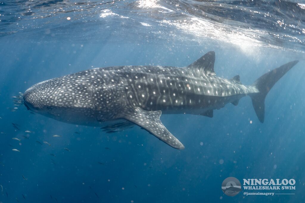 e124b722-8107-4f9a-85f5-c24ac6bcc27c