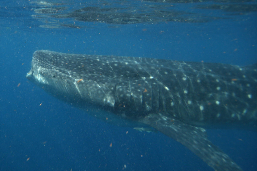 9be73e0e-6bed-4352-bd00-c21e01ba4c72