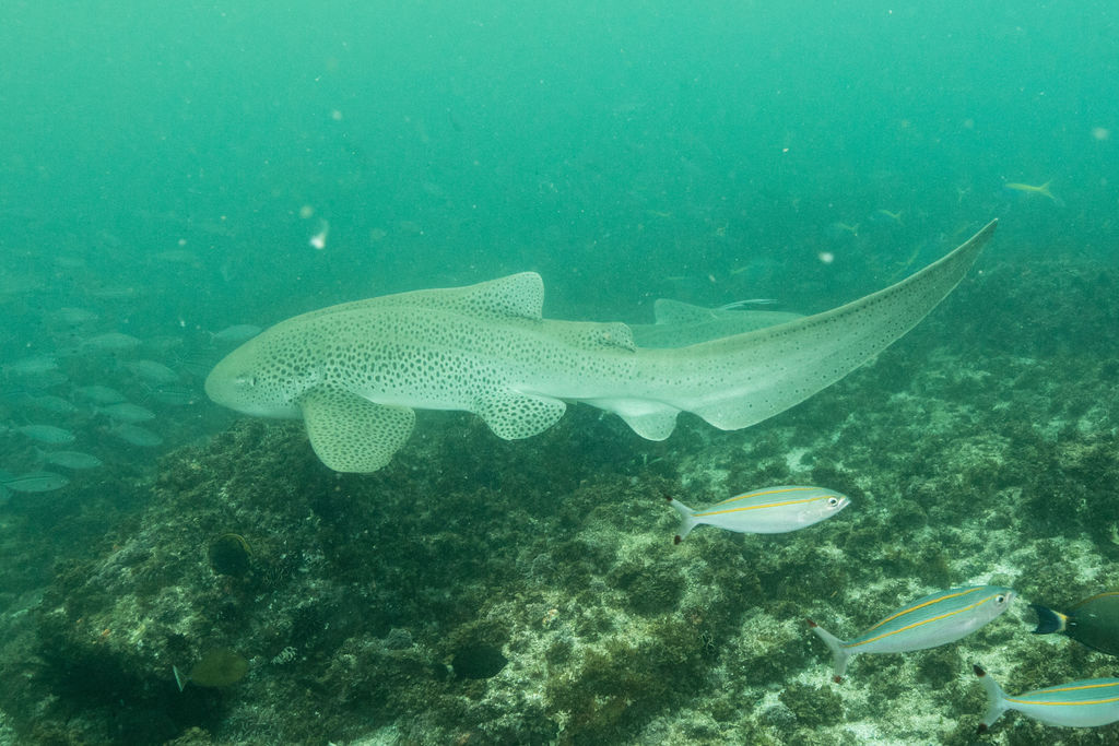 73d6acec-d1fd-4c93-b6b9-253c0740af28