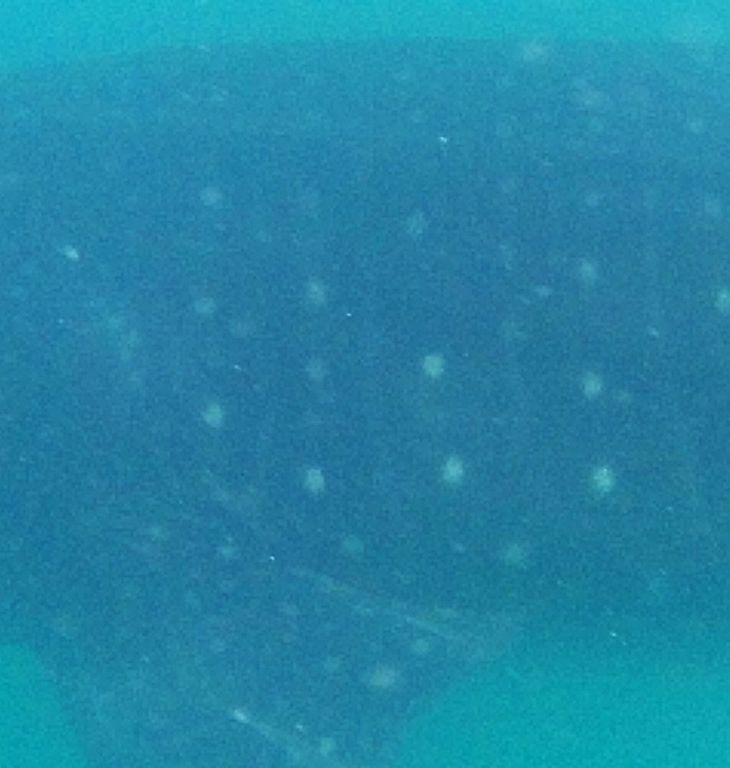 f03ab7b6-7a28-4cfe-b3ea-c90a0b655ca0