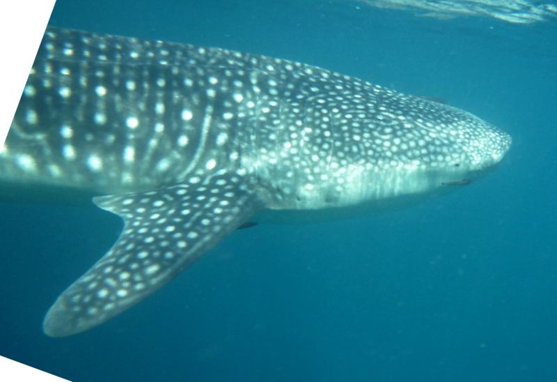 87624d5a-c5fd-4fc3-ae40-b37098d1cf3a