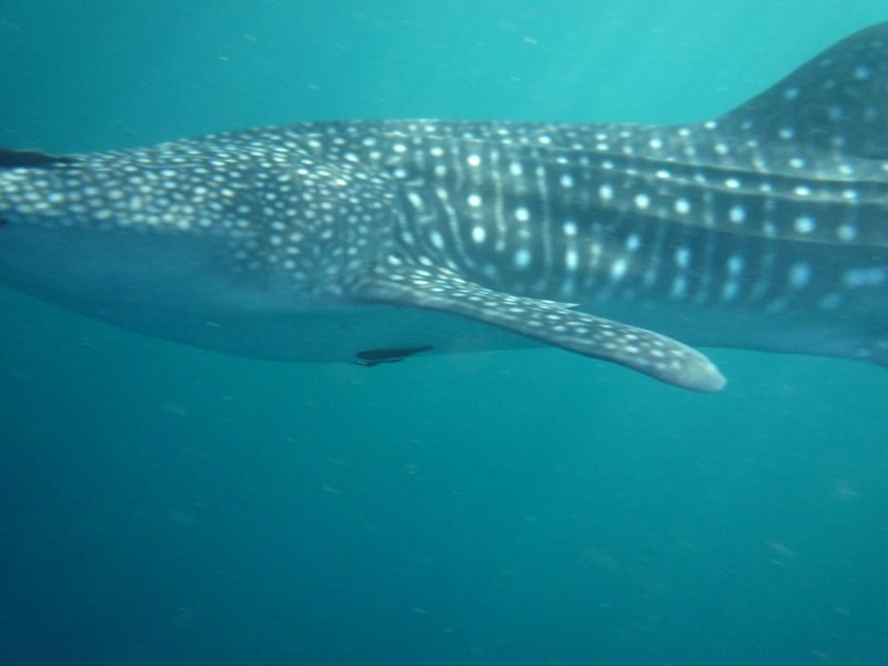 87624d5a-c5fd-4fc3-ae40-b37098d1cf3a