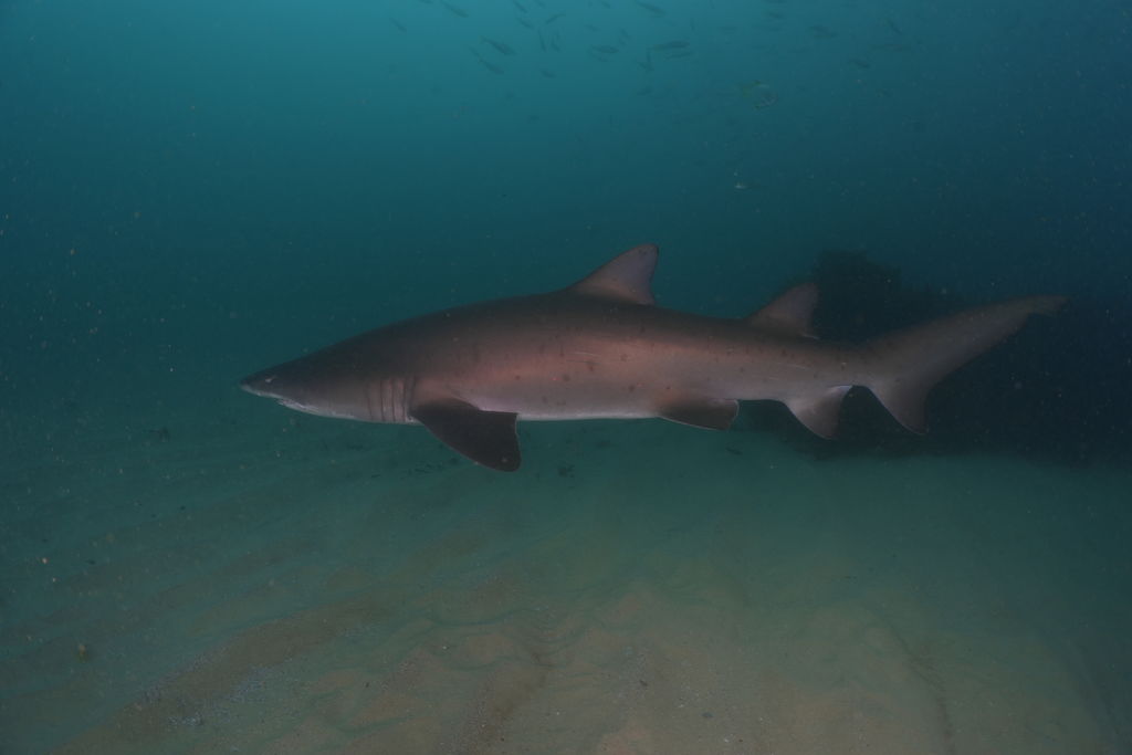 c7c458ed-c474-4c05-b29d-356c51007bb8