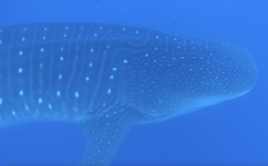 11153e33-643c-4d72-8d70-876f49dc3215