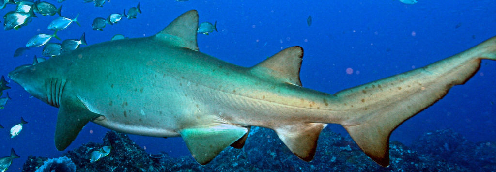 a9aeb856-4989-4036-ab3e-8b40f31df0e2