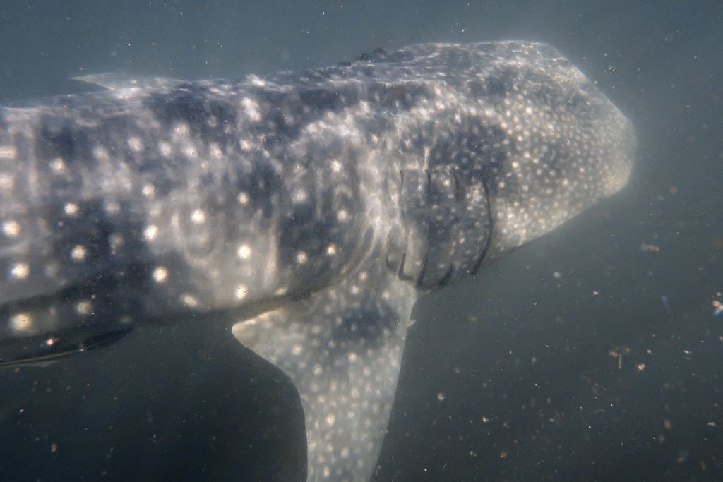 7ebd2f85-3f8d-4a56-9e8b-3882b7fc6764