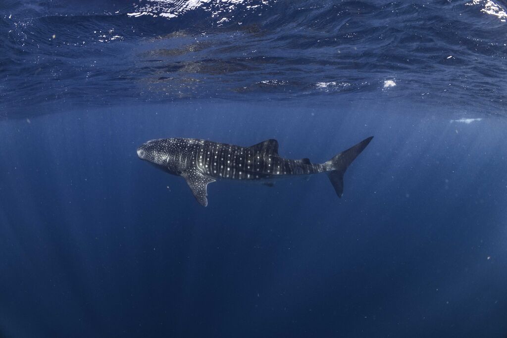 f36f7e31-26dc-4f01-8b12-6f7ce646b393