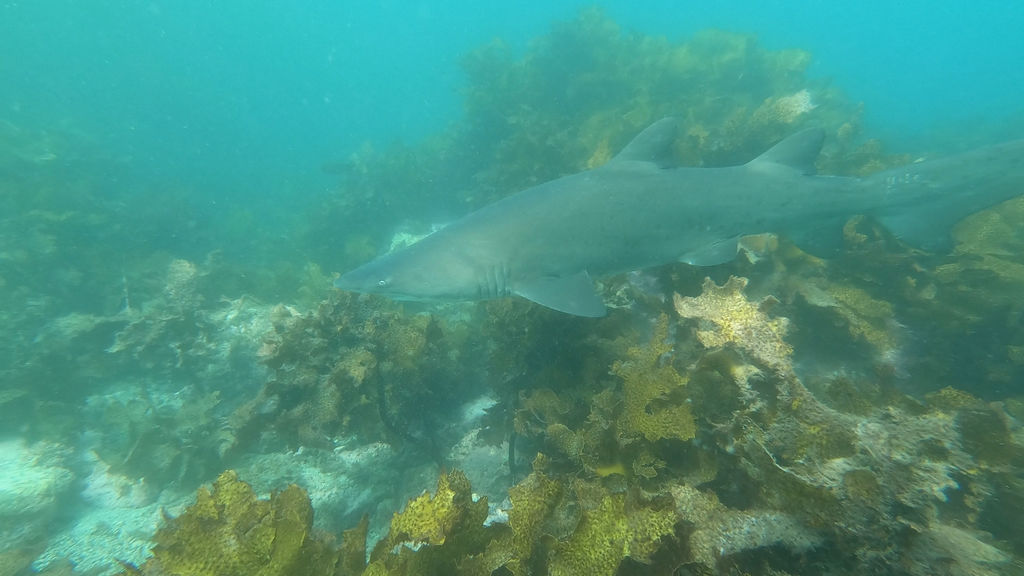 6dd7575e-a57a-4d00-bd97-6939a19645e5