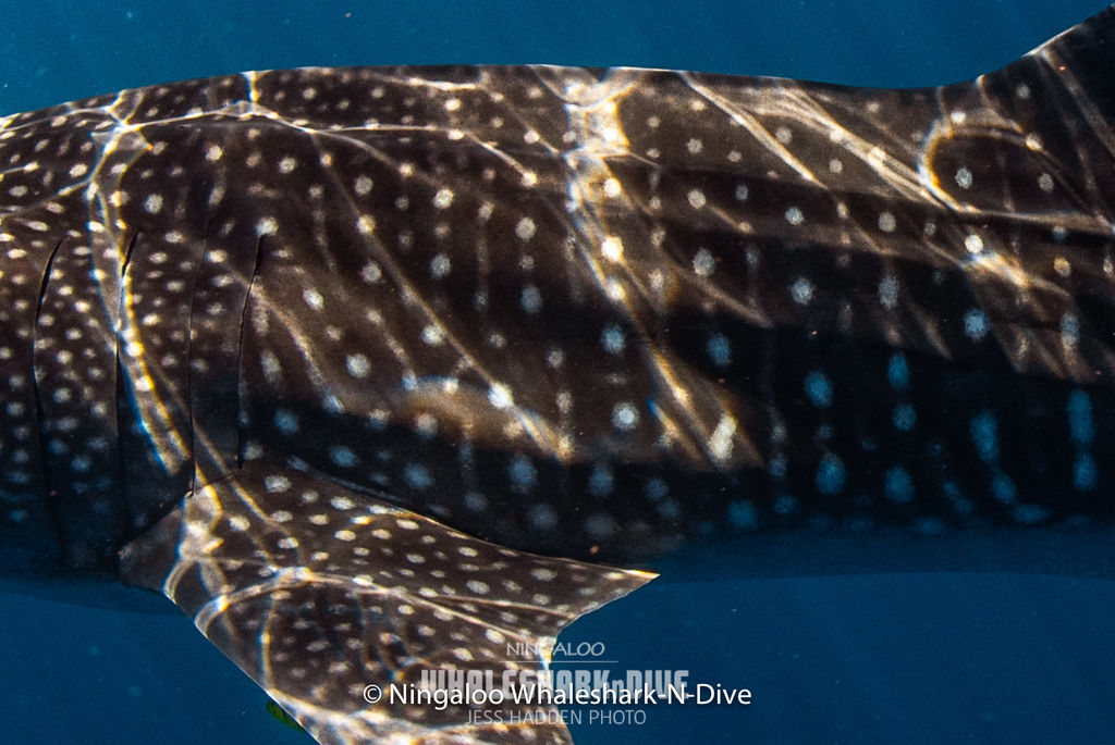 64b0d6bd-18e0-4b9b-a7a3-7b6ae0c8e4c6