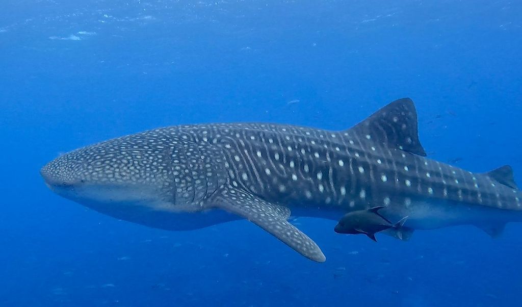 a22bea25-b143-4533-9201-555b2dfa7b4c