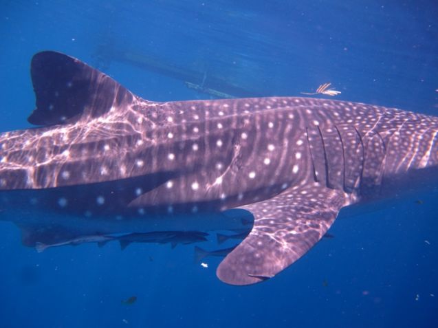 bc643ba1-4478-44fb-82f9-3cb00e47fd62