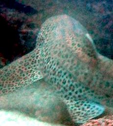 2c44fb94-682e-4a46-9a54-39f3d5279d8d