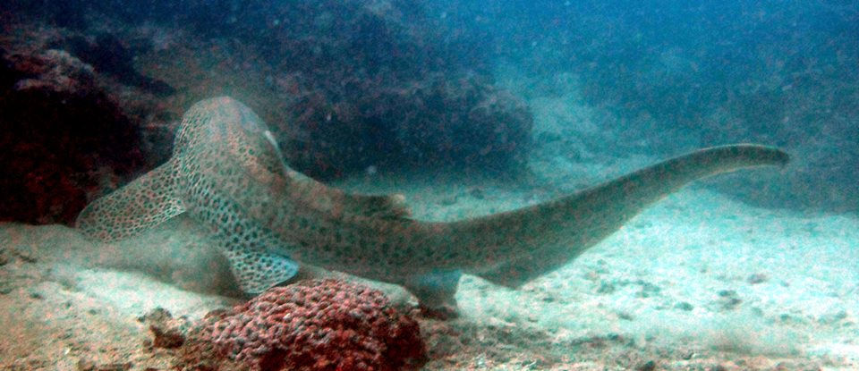 2c44fb94-682e-4a46-9a54-39f3d5279d8d