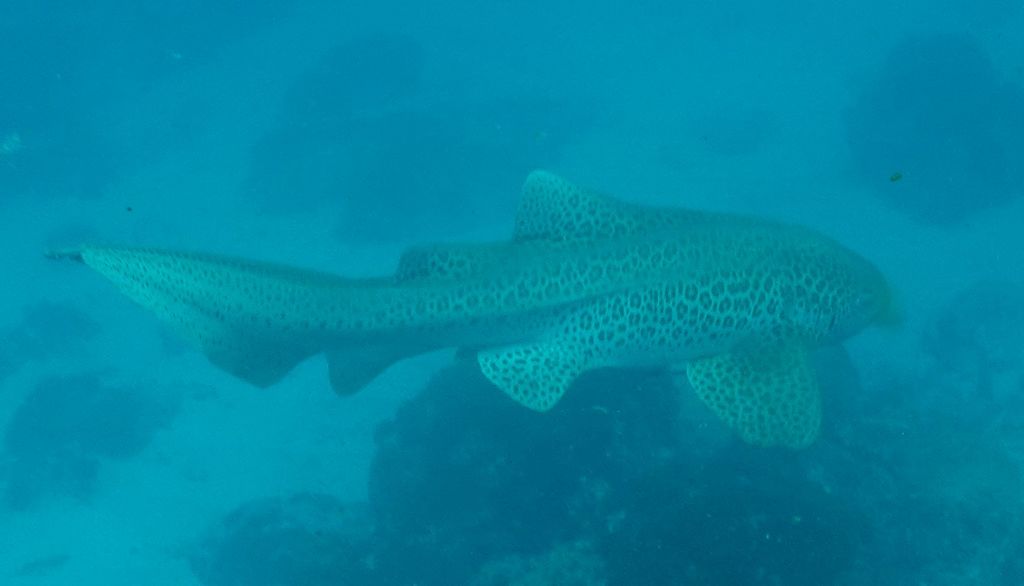 cd1f4dcc-ee51-4094-baa0-a20e7da28074