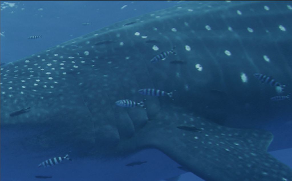 c571c58d-a79d-4b18-87d4-12269421fde7