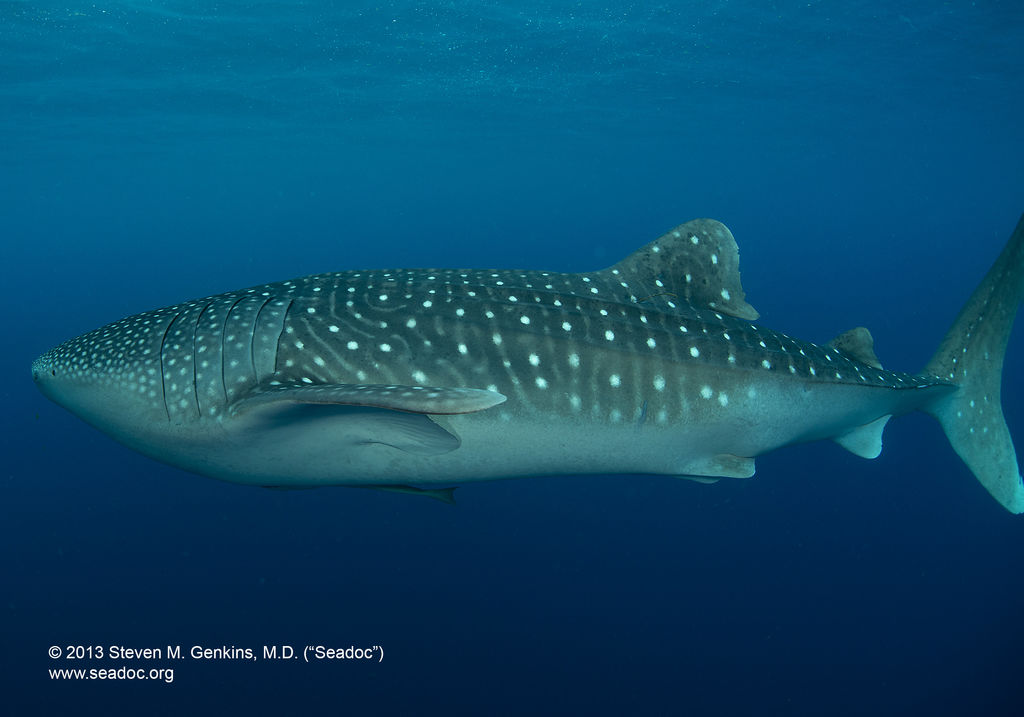 664c370c-d517-415b-815c-dd371232b478