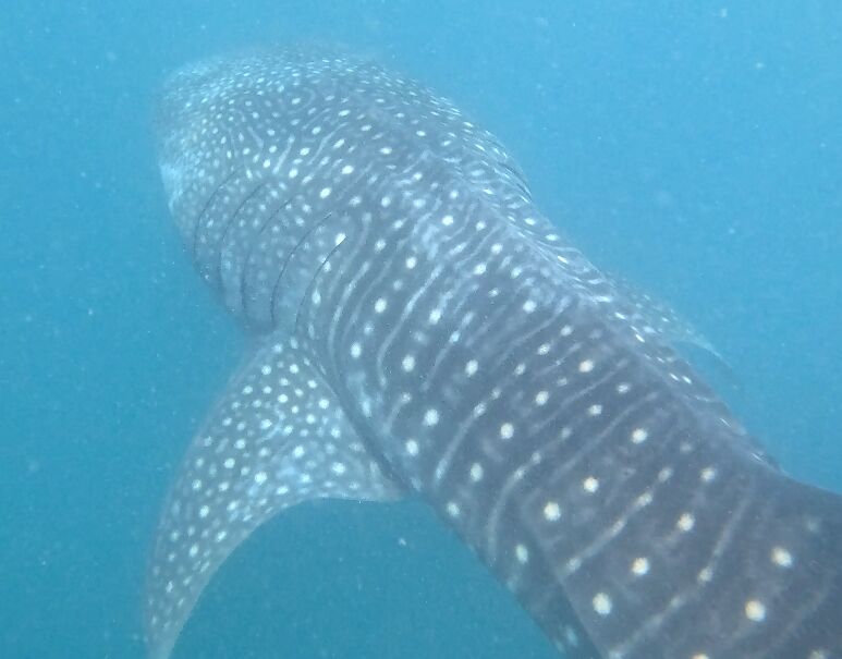 aa25a84e-27d1-4bd4-9bcf-77b5be580c6d