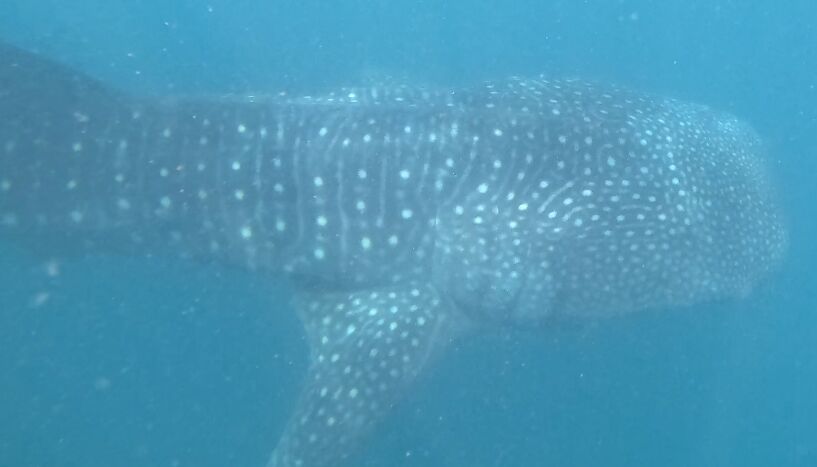 aa25a84e-27d1-4bd4-9bcf-77b5be580c6d