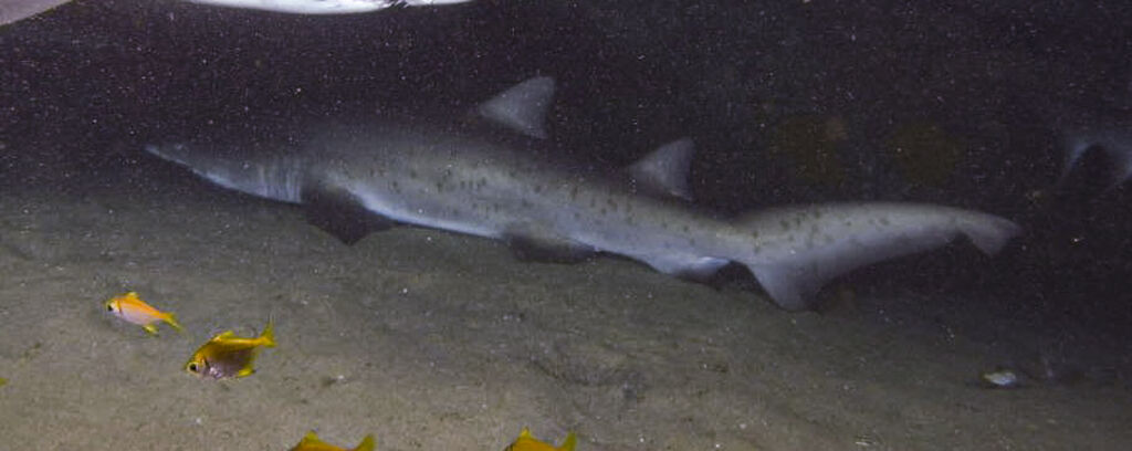 f930c6f3-cbb6-46c4-b44f-19af3b1eb0a5