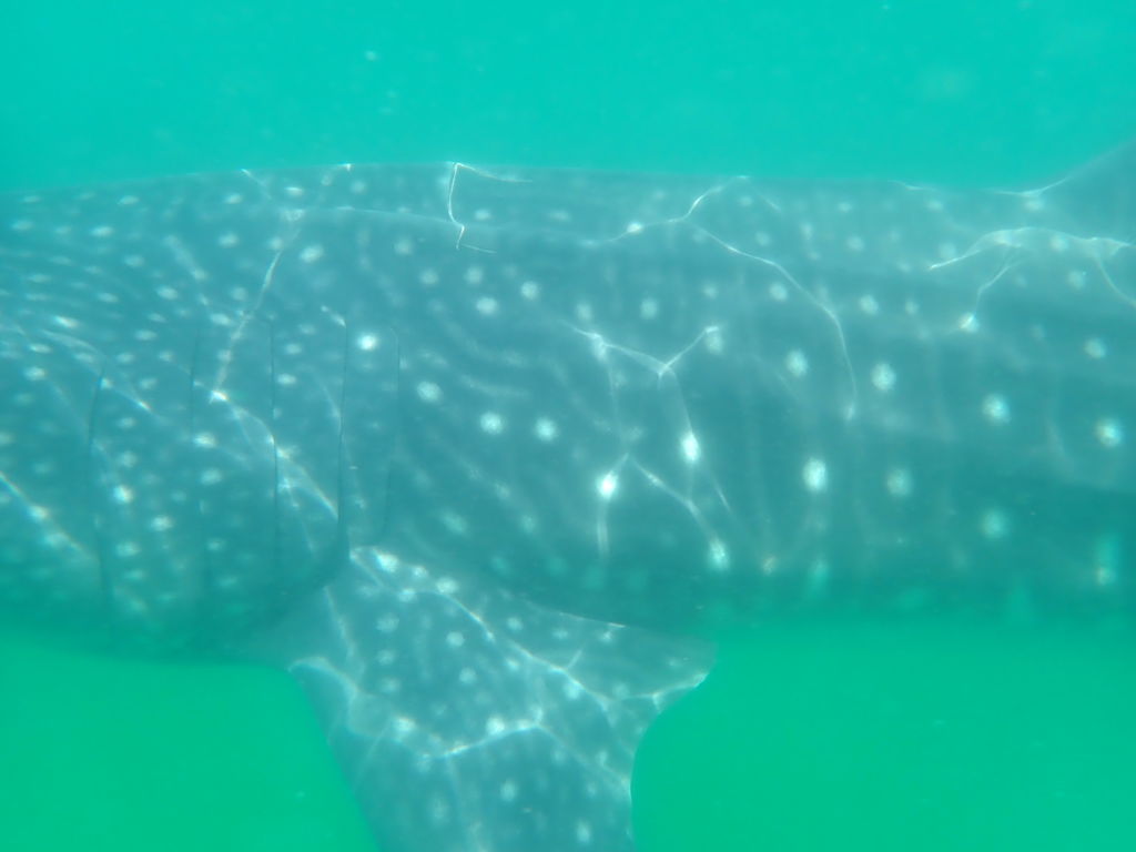 aa58f4b5-42bf-4824-99c2-f806ff551c26