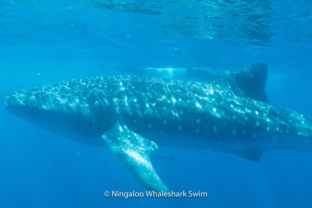 512222a7-26af-4539-aaf7-0e0dfe3cc001