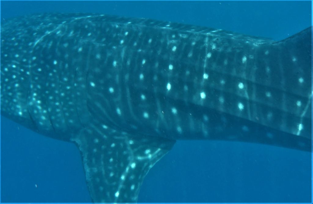 cfedd544-3d65-44c5-85af-3b009084d493