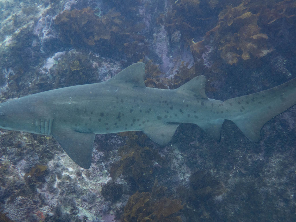 0c896607-c581-40db-ab3b-81c1091f52d7