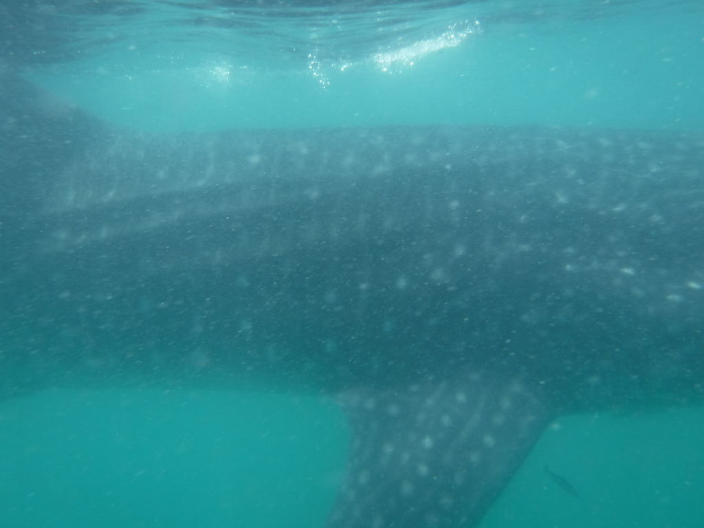 d8fb07d1-16a0-4098-8f59-50c7d7bbf930