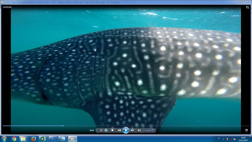 d57db851-dd25-4f3c-8755-f86574dd93cf