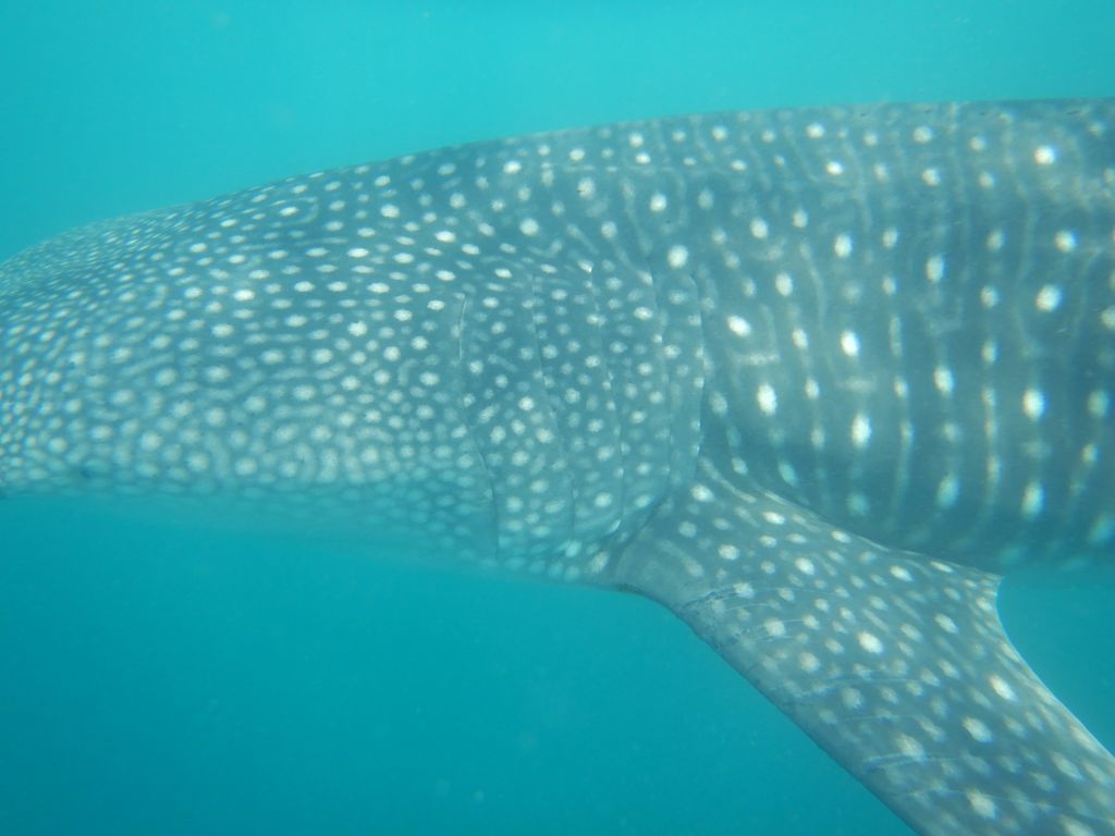 85e96014-ad2f-40f5-8e10-6f43f2ce894d