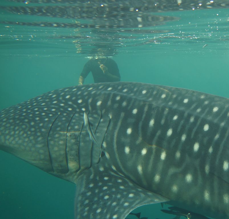 1652ae7b-51cf-44ce-a50e-da996bb6e592