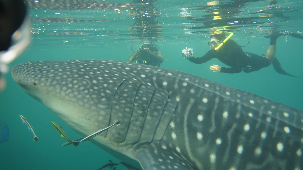 1652ae7b-51cf-44ce-a50e-da996bb6e592