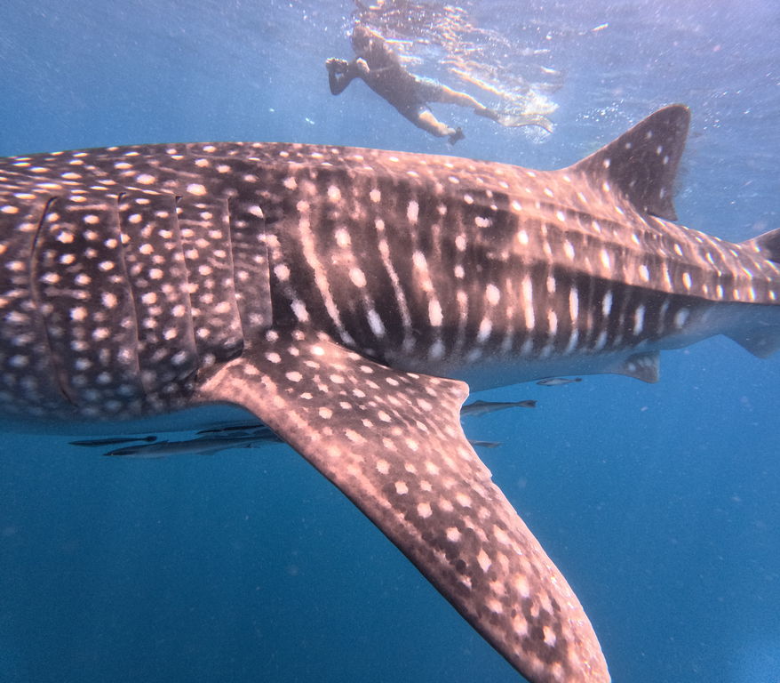 7808545e-c5f7-48a7-aa52-01d928923c61