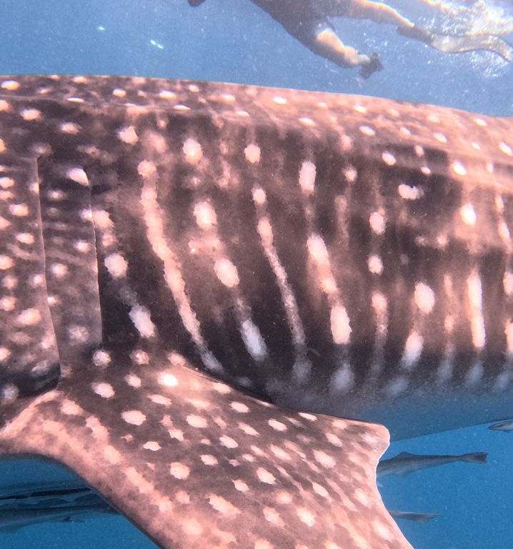 7808545e-c5f7-48a7-aa52-01d928923c61