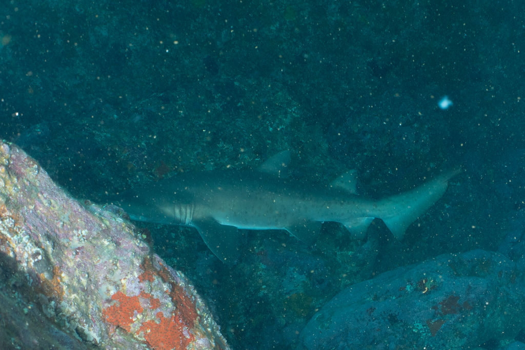 0f00bcee-d271-4c3c-bd5c-330751d2a258