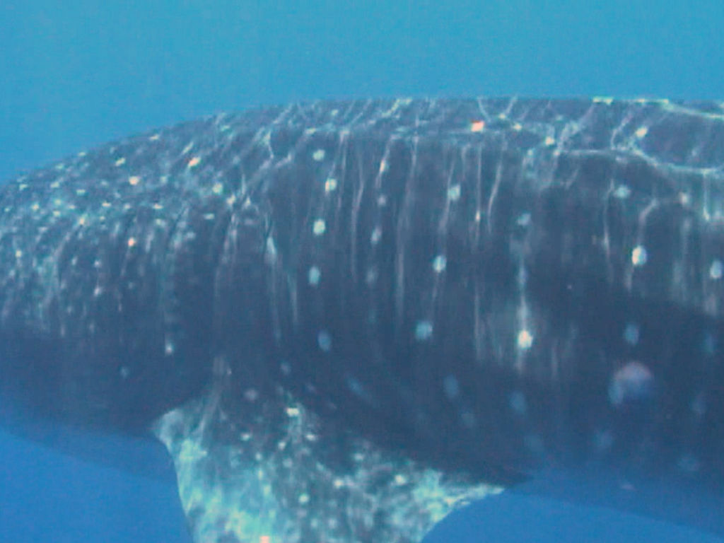 a57444b4-efce-4145-b222-30a1fbfe6858