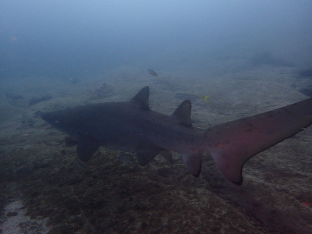 79e877b6-09cd-4d3e-ad1a-dd4347172f8e