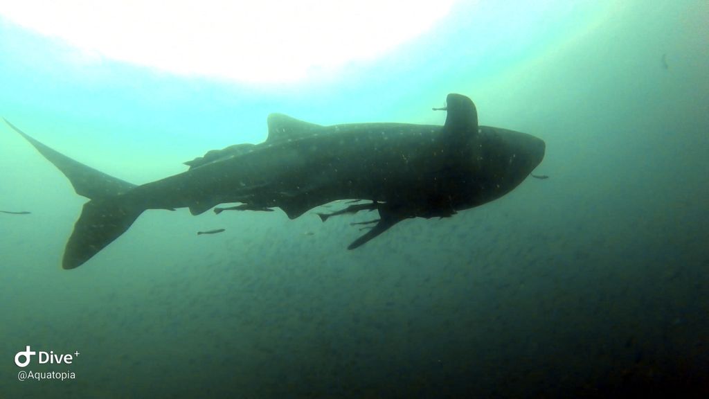 cd2b7d68-2373-4e5f-ba01-65dc6f3671ca