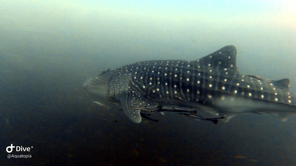 cd2b7d68-2373-4e5f-ba01-65dc6f3671ca