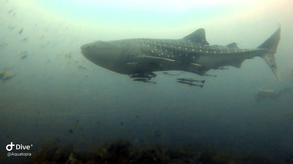 cd2b7d68-2373-4e5f-ba01-65dc6f3671ca