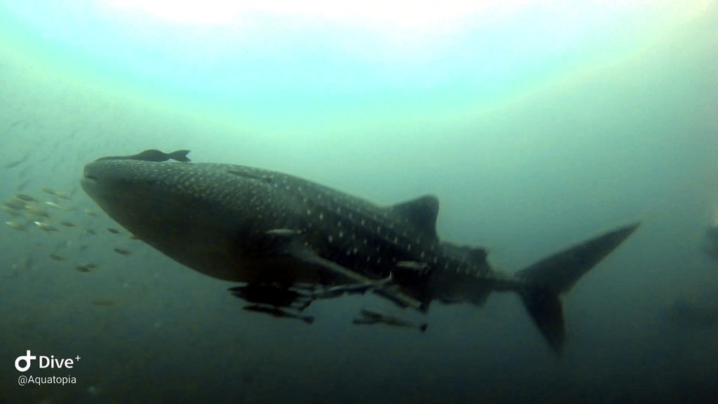 cd2b7d68-2373-4e5f-ba01-65dc6f3671ca