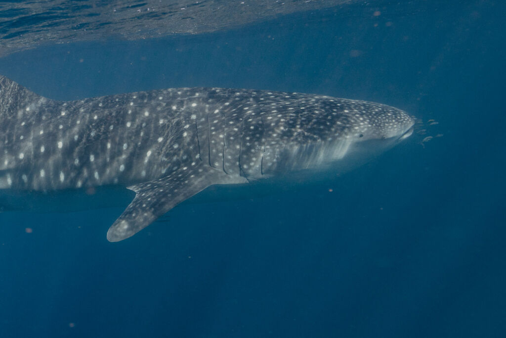 ac9d75b5-98e3-4421-81d5-1bcd0f9c9390