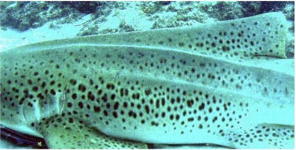 3eac13a7-72dd-4000-ad1e-0737eda0ad3b