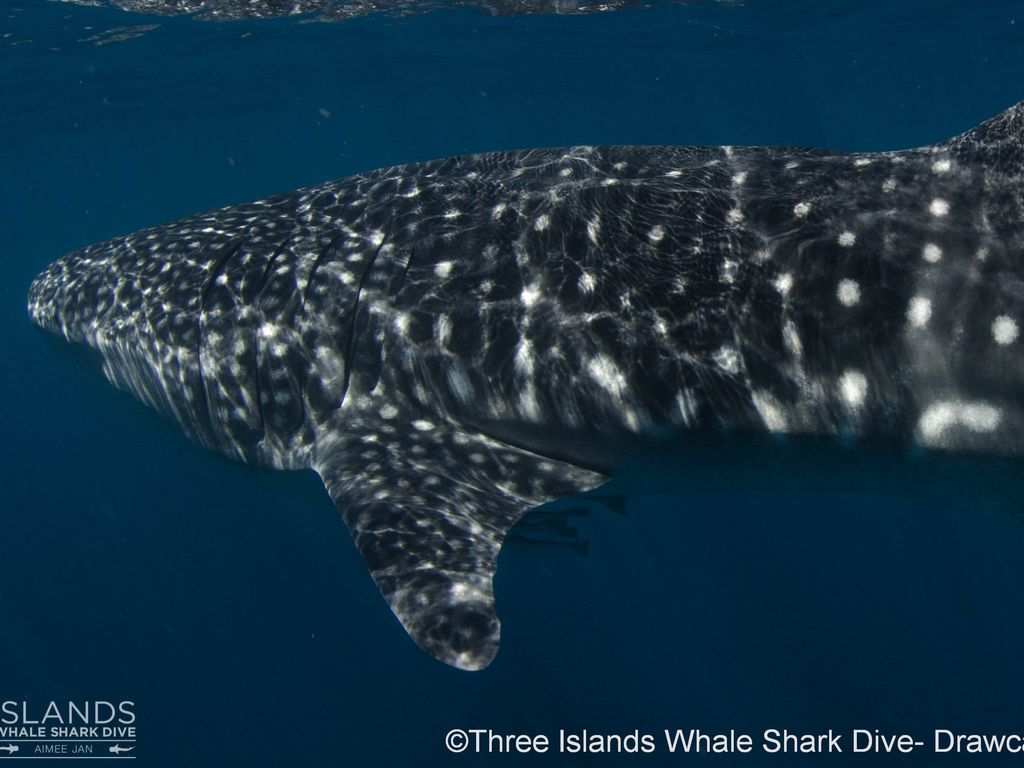 296324fd-97a6-4d88-9e48-9f91531b5e44