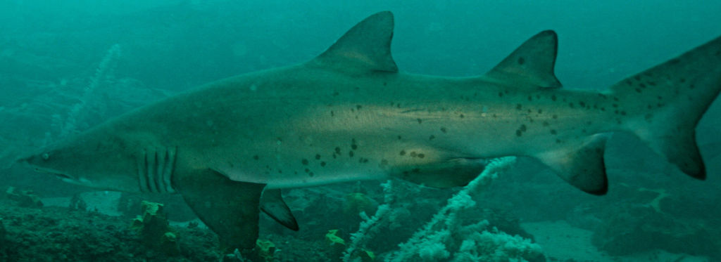 29d8ddf0-1b29-4144-8ff6-2f9a3dd08797