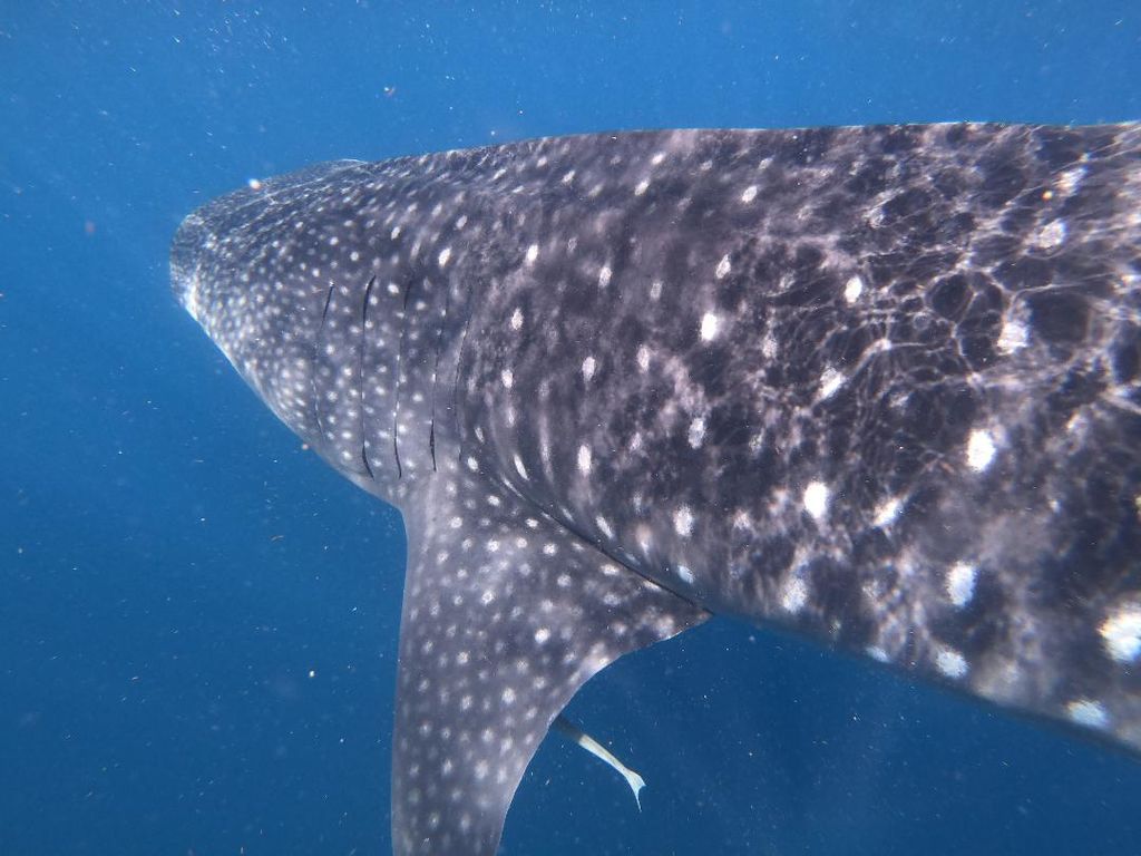 6c4b7ee4-db3a-43f7-b3a1-400254904f23