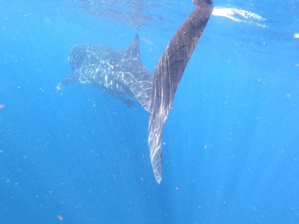 6c4b7ee4-db3a-43f7-b3a1-400254904f23