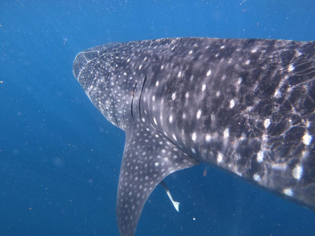 6c4b7ee4-db3a-43f7-b3a1-400254904f23