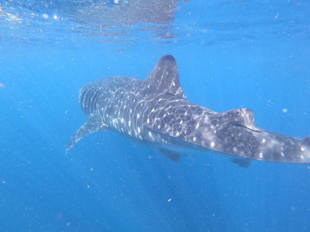 6c4b7ee4-db3a-43f7-b3a1-400254904f23