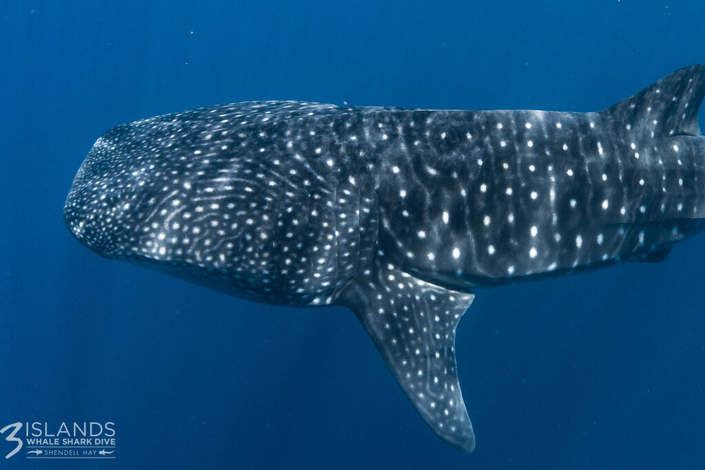 6ae03a9d-d5d1-4cfd-9db0-0521229a4b3e